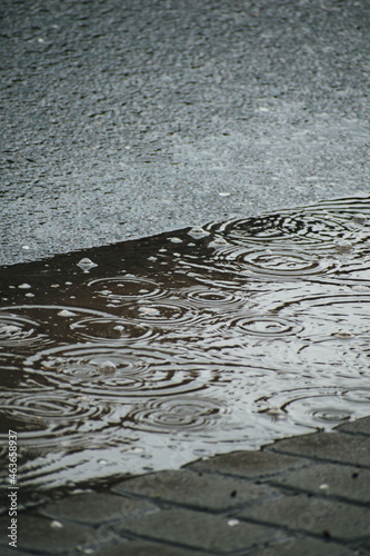 raindrops leave traces in the puddle