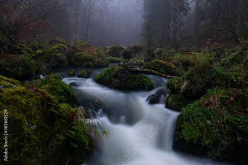 smooth motion of wild water in a river in summer with rocks and stones in the beautiful nature of a forest