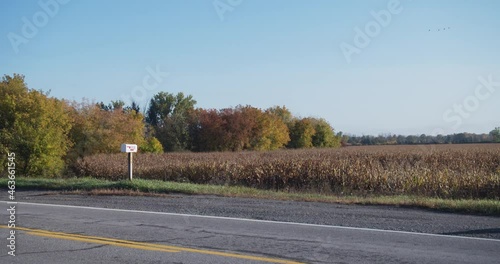 Wallpaper Mural Country Road with Mailbox on Cold Fall Autumn Day Torontodigital.ca