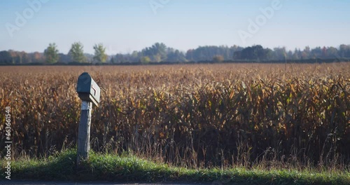 Wallpaper Mural Country Road with Mailbox on Cold Fall Autumn Day Torontodigital.ca