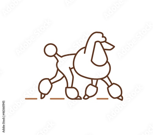 Poodle icons design, purebred dogs pets sign. Pudel breed, contour vector illustration for veterinary, shelter, petshop