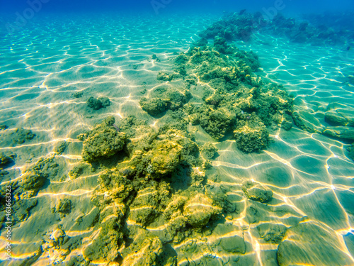 Underwater view over sea reefs and corals in Red Sea during sunny day.