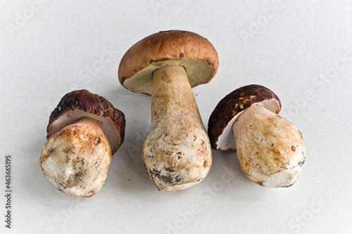 Porcini mushrooms.