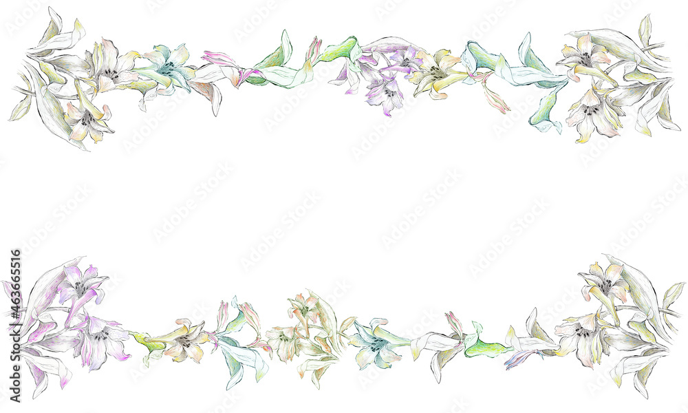 Watercolor border with wild flowers. White background.