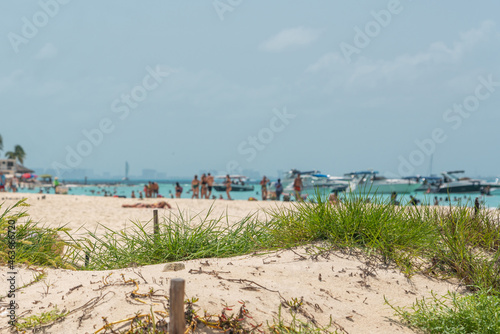 Beautiful Caribbean beach Playa Norte or North beach on the Isla Mujeres near Cancun, Mexico photo