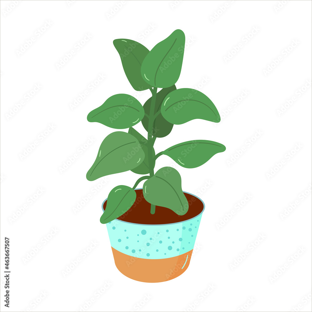 Fototapeta premium Vector illustration with home potted houseplants in a flat style. Home flowers for the interior.