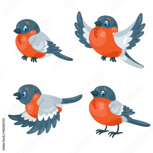 Set of four funny colorful bullfinches in different poses. In cartoon style. Isolated on white background. Vector illustration.