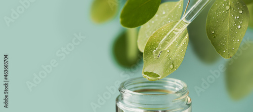 Macro shot of beautiful leaf and pipette, medicine drop falling into jar