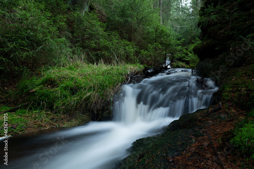 smooth motion of wild water in a river in summer with rocks and stones in the beautiful nature of a forest