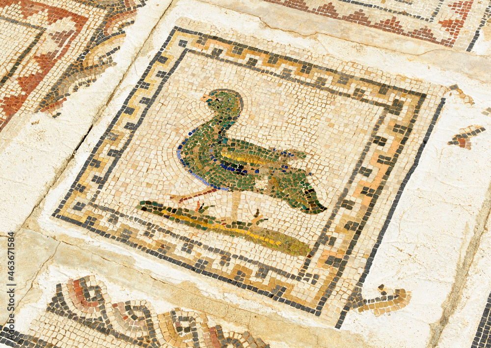 Obraz premium Mosaic in House of the Birds, Italica, Roman city near Santiponce in the province of Seville, birthplace of Emperor Trajan and origin of the family of Hadrian, Andalusia, Spain
