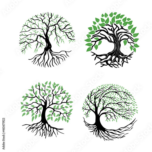 A set of illustrations of a tree with roots and green foliage. Abstract tree icon on a white background. Round logo of a tree with a rhizome.