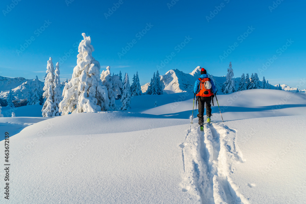 Skitour in den frisch  verschneiten Alpen