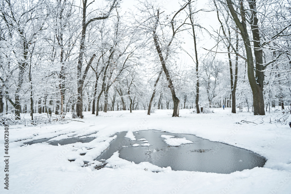 White snow covered winter city park, with frozen puddle in the middle of the road White snow covered winter city park, with frozen puddle in the middle of the road
