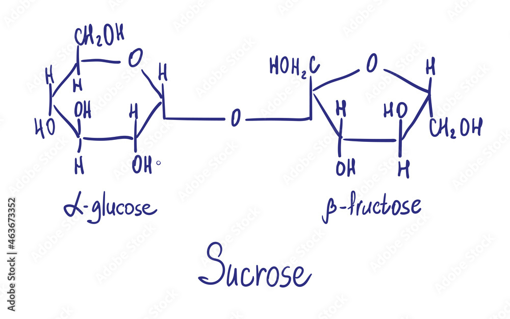 Obraz premium Sucrose chemical structure. Vector illustration Hand drawn
