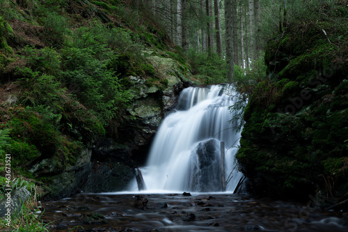 smooth motion of wild water in a river in summer with rocks and stones in the beautiful nature of a forest