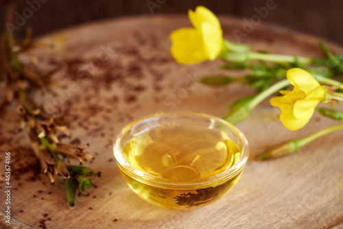 Evening primrose oil with fresh evening primrose flower and seeds