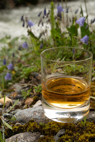 Glass of strong scotch single malt whisky with fast flowing mountain river and wild flowers on background