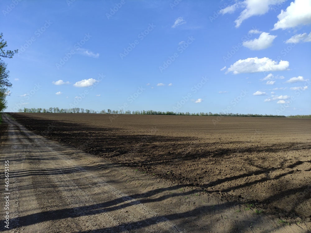 Plowed agricultural field with tree shadows Plowed agricultural field with tree shadows
