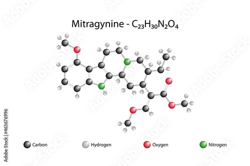 Molecular formula of mitragynine. Mitragynine is an indole-based alkaloid. photo