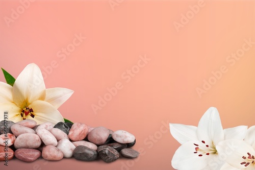 Background for cosmetic products of natural color background.