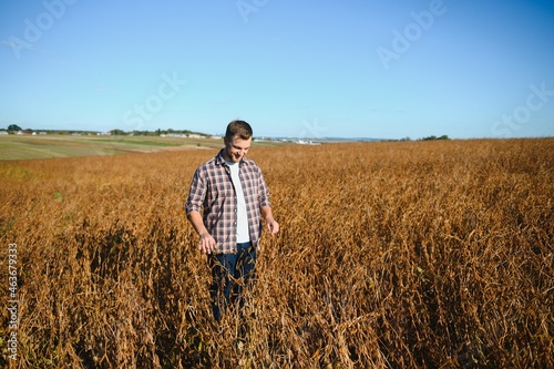 farmer agronomist in soybean field checking crops before harvest. Organic food production and cultivation. © Serhii