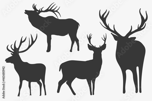 deer illustration isolated of the forest animal