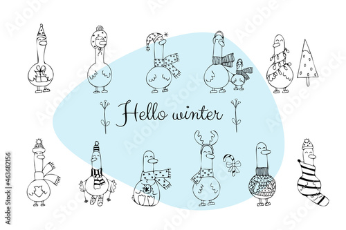 set of cute christmas geese in doodle style