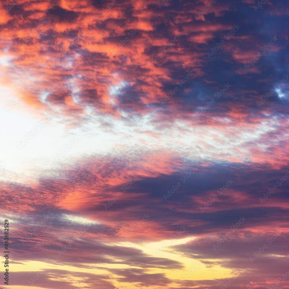 Fototapeta premium Colorful pink sunset. Nature sky sunset background. Amazing scenery sunset. 