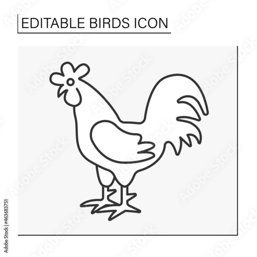  Rooster line icon. Domestic fowl with colorful feathers and strong voice. Adult male chicken. Birds concept. Isolated vector illustration. Editable stroke