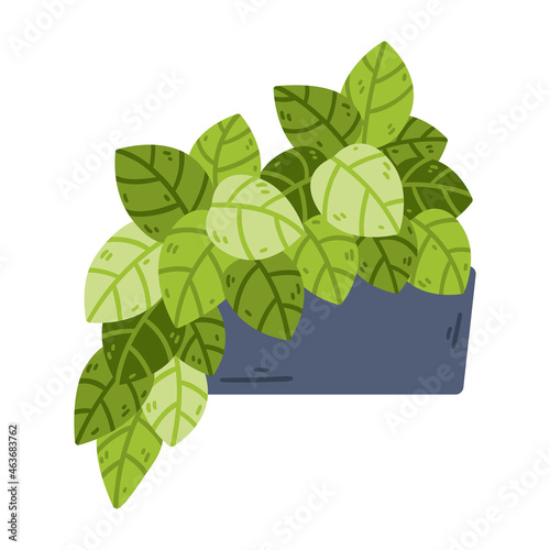 Potted houseplant. Home hobby gardening. Vector object isolated on white background.