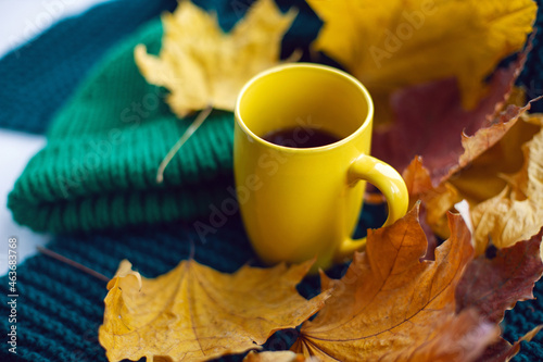 yellow mug with tea and yellow maple leaves stands on white window in autumn