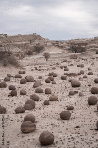 stones in the desert