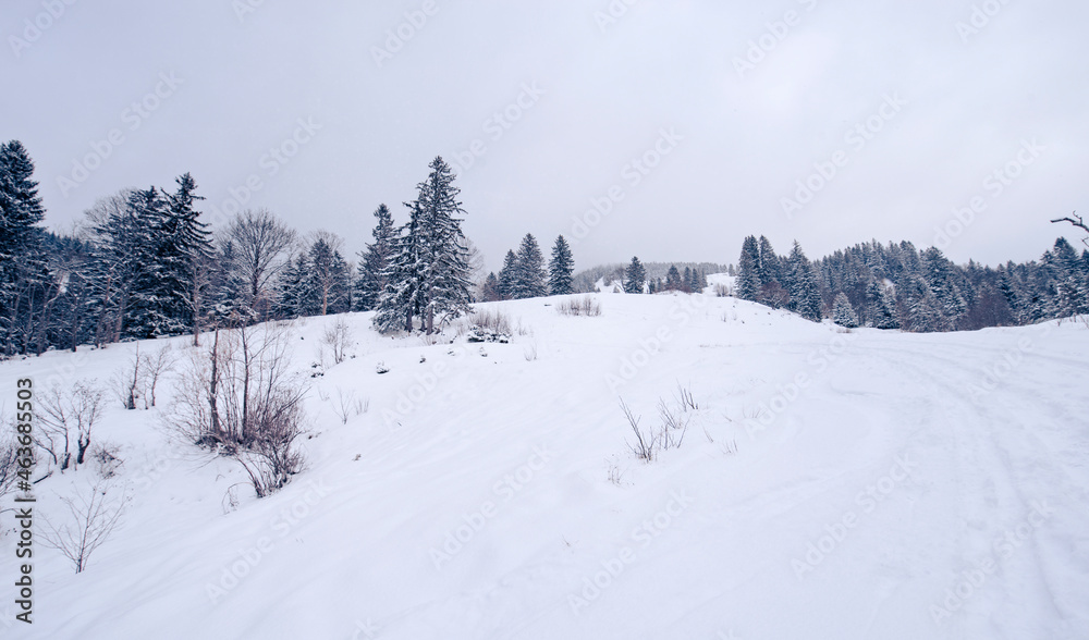 Kalte und verschneite Winterlandschaft auf einer Alm in den bayerischen Alpen an einem stürmischen Schneetag 