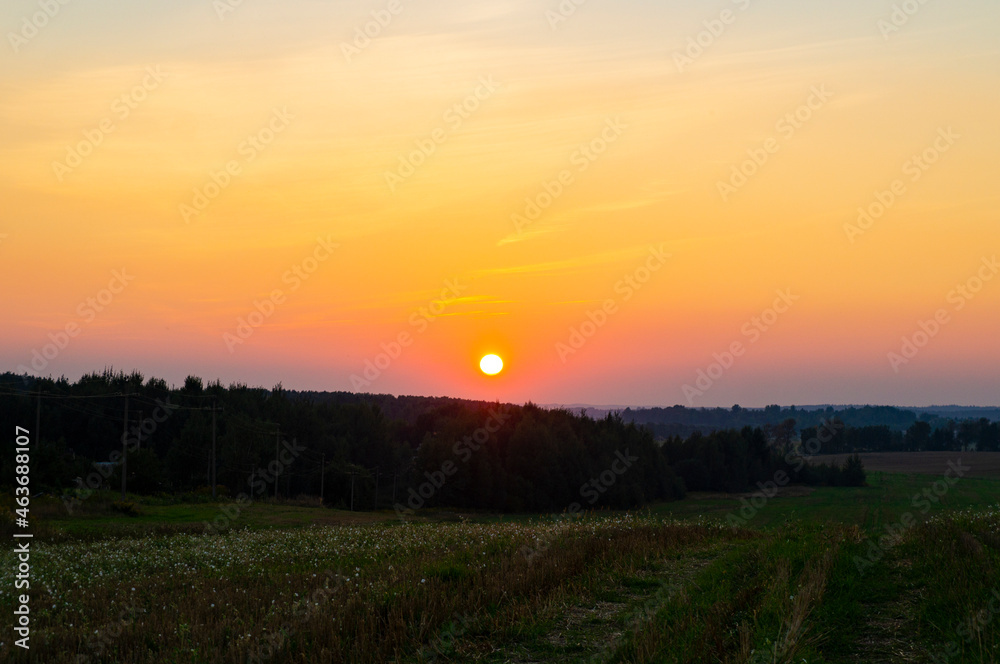 Beautiful sunset over green summer field