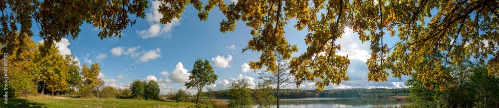 Panorama of autumn forest, beautiful and warm day, calm and windless. Panorama of autumn forest, beautiful and warm day, calm and windless.