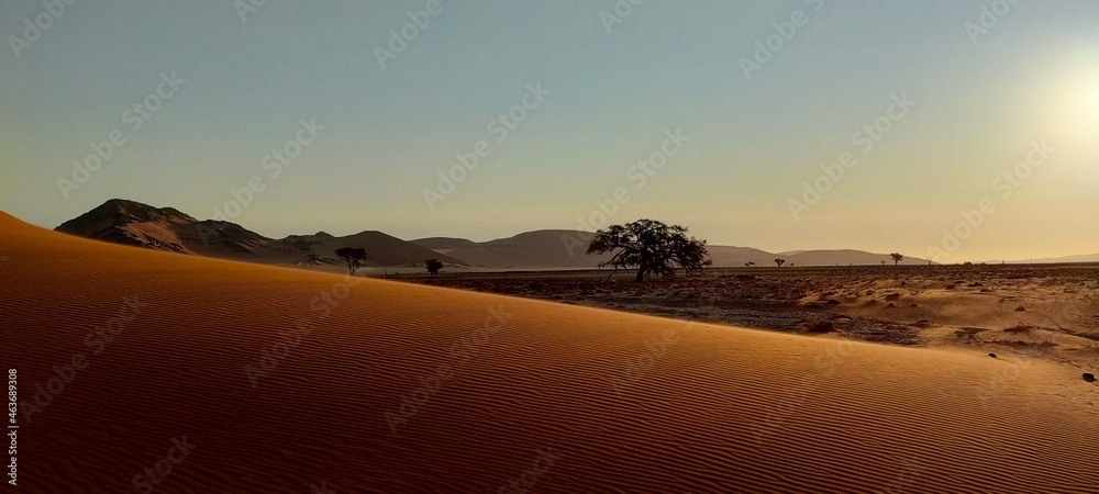 Fototapeta premium Africa, Namibia