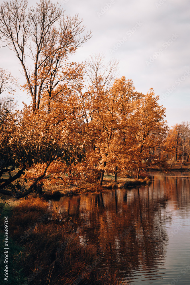 lake in autumn lake in autumn