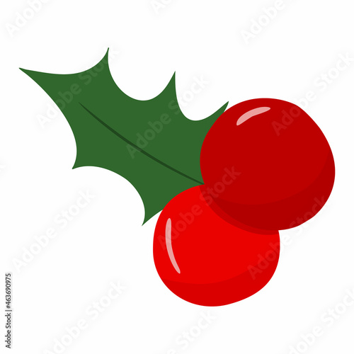 Christmas holly elemet for your design. Vector illustration christmas elemets for your decoration. Hand drawn christmas holly