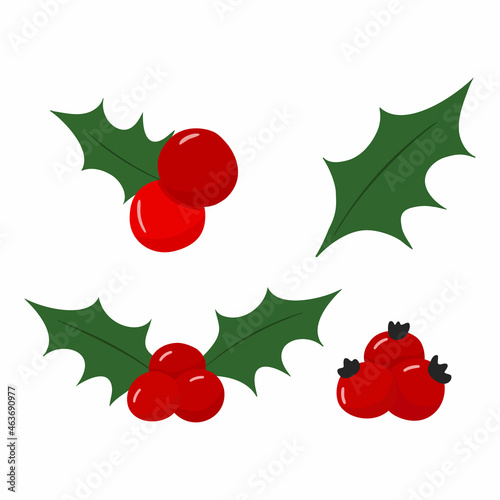 Christmas holly elemet for your design. Set of vector illustrations of Christmas holly for your decoration. Hand drawn christmas holly