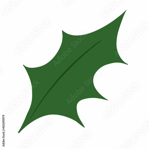 Christmas holly elemet for your design. Vector illustration christmas elemets for your decoration. Hand drawn christmas holly