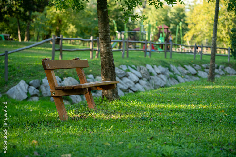 Fototapeta premium wooden bench in a green park in the evening
