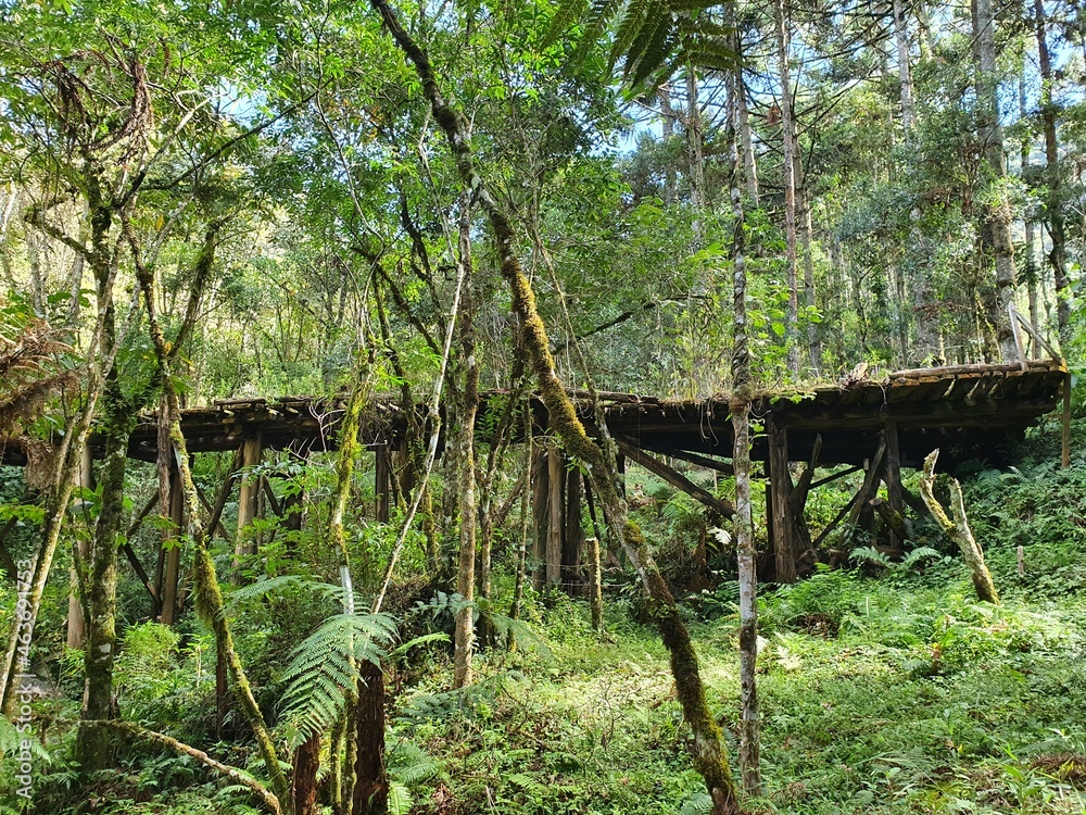 Trip do Gonçalves - MG