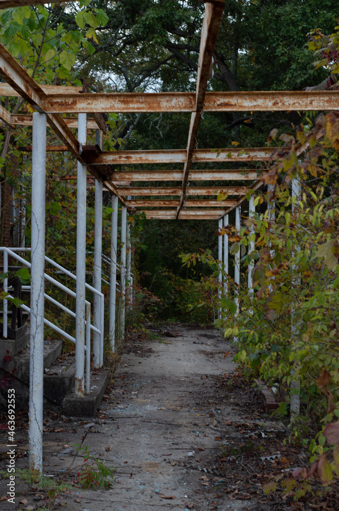 bridge bridge