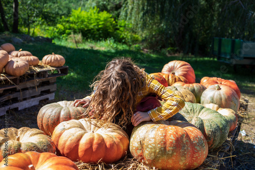 Blond girl sitting on top of pile of gigantic pumpkins photo