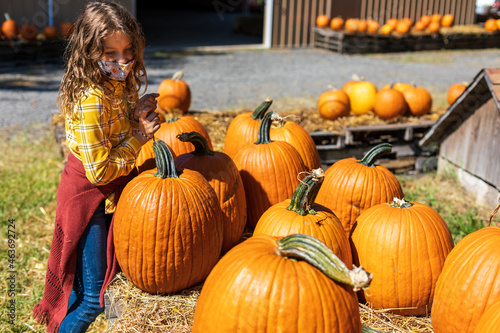 Young girl chooses an orange pumpkin at Farmer's market