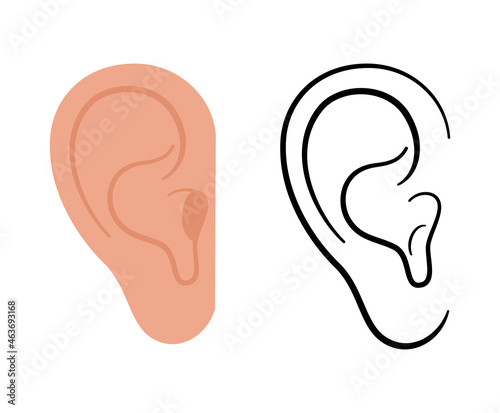 Ear anatomical Icon