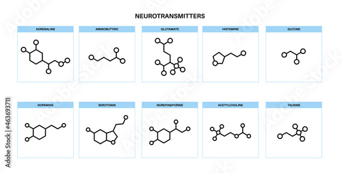 Chemical formulas of neurotransmitters