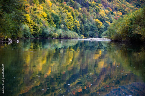 Fototapeta Naklejka Na Ścianę i Meble -  autumn forest and reflection in river