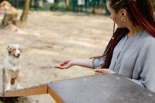 Owner teaching dog different tricks 