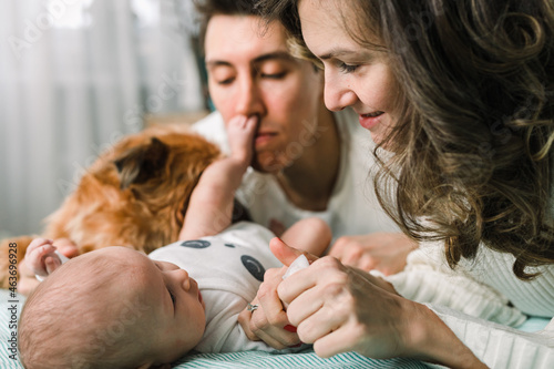 New parents and a jealous needy griffon photo